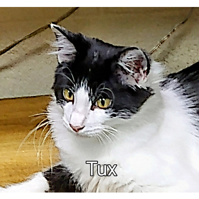 Tux